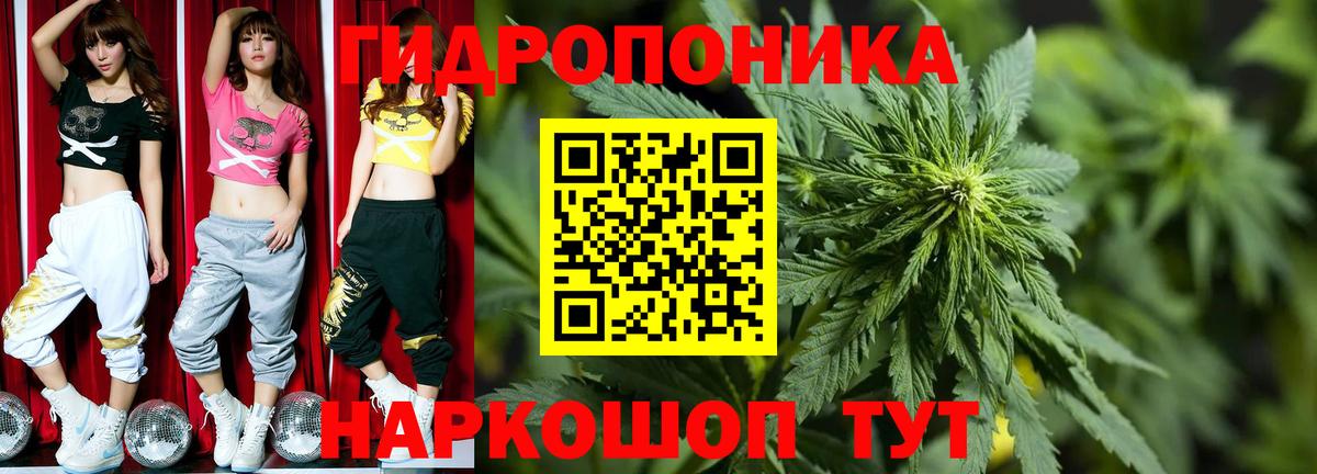 Шишки марихуана марихуана  Шишки марихуана конопля  Бошки Шишки SATIVA & INDICA  Волгодонск  Вход с VPN 